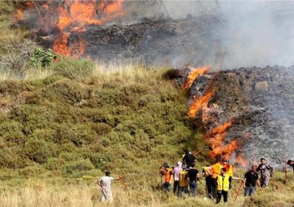 مستوطنون يحرقون مساحات واسعة من الأراضي جنوب جنين