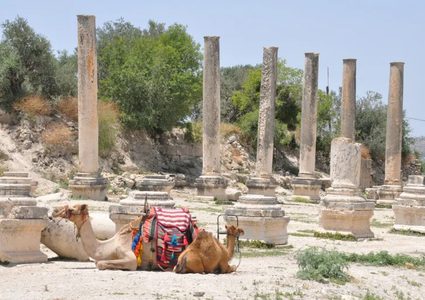 "السياحة والآثار" تطالب بالتصدي لقرار الاحتلال بضم المواقع الأثرية الفلسطينية