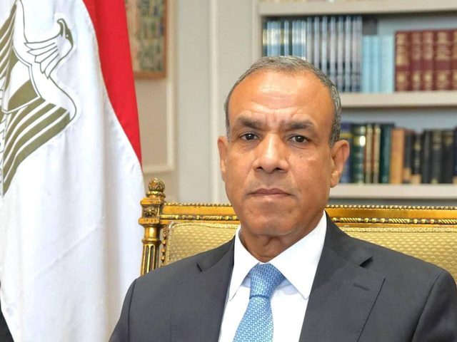 وزير الخارجية المصري يبحث مع كبيرة منسقي الأمم المتحدة إدخال المساعدات لشعبنا