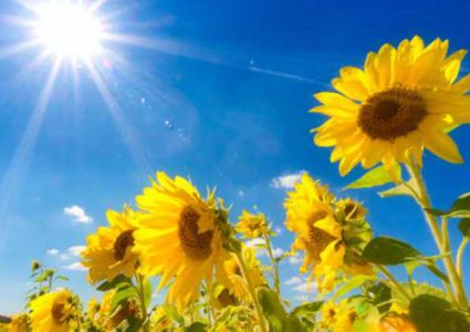 حالة الطقس: استمرار الأجواء الحارة في كافة المناطق