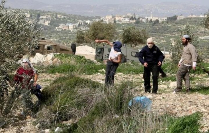 إصابة مواطنة وشاب في هجوم للمستوطنين على قرية شعب البطم جنوب الخليل