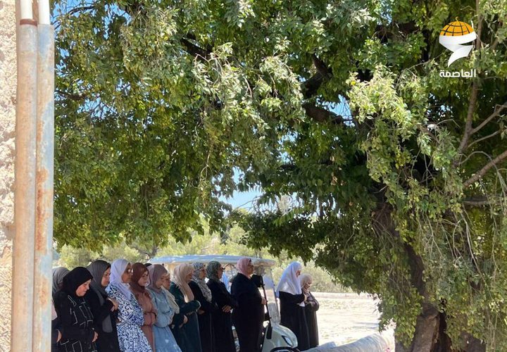 40 ألفا يؤدون صلاة الجمعة في المسجد الأقصى