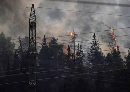 صحيفة: اندلاع حرائق في شمال إسرائيل جراء سقوط صواريخ أطلقت من لبنان