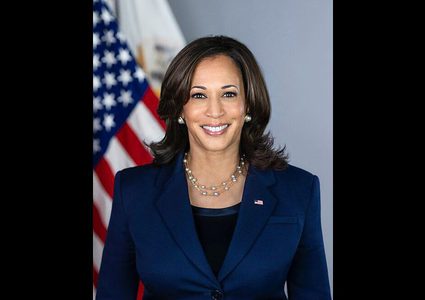 الأمريكيون يتبرعون بنحو 28 مليون دولار لحملة هاريس الانتخابية