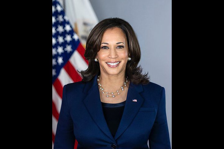 الأمريكيون يتبرعون بنحو 28 مليون دولار لحملة هاريس الانتخابية