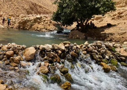 جودة البيئة تُصدر ورقة حقائق حول محمية نبع العوجا في محافظة أريحا والأغوار