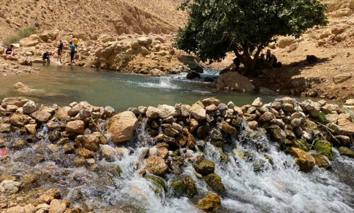 جودة البيئة تُصدر ورقة حقائق حول محمية نبع العوجا في محافظة أريحا والأغوار