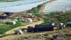 معن صوافطة: الاحتلال يحاول فرض واقع جديد في الأغوار الفلسطينية