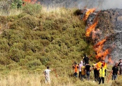 مستوطنون يضرمون النار في أراض زراعية برنتيس غرب رام الله