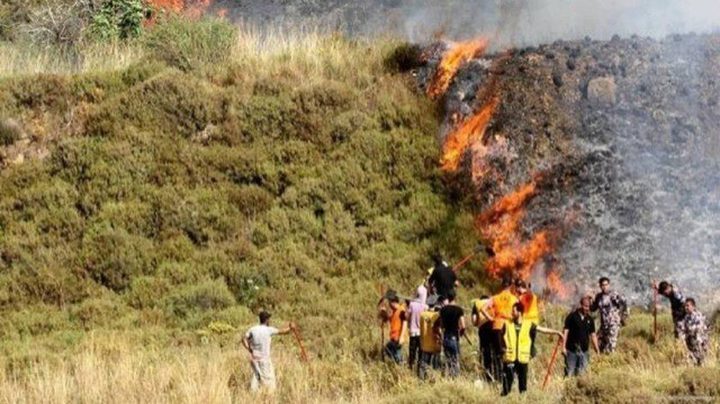 مستوطنون يضرمون النار في أراض زراعية برنتيس غرب رام الله