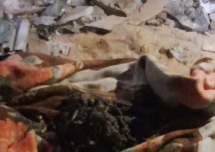 4 شهداء في قصف الاحتلال منزلًا لعائلة "القطشان" جنوب مخيم النصيرات، فيما لا تزال عملية البحث عن شهداء وجرحى تحت الأنقاض مستمرة