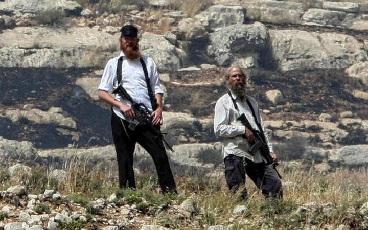 مستوطنون يسرقون 25 رأسا من الأبقار شرق طوباس