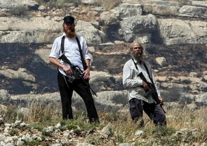 مستوطنون يسرقون 25 رأسا من الأبقار شرق طوباس