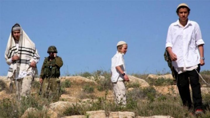 مستوطنون يستولون على خيمة سكنية في الأغوار