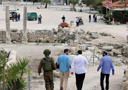 اللجنة الوطنية للتربية والثقافة تدين استيلاء الاحتلال على أراضٍ في سبسطية