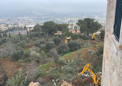 لأهداف استيطانية: أعمال تجريف وخلع أشجار بأرض عائلة عليان في بيت صفافا