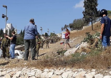 مستوطنون يقتلعون 80 شجرة زيتون ولوزيات جنوب الخليل