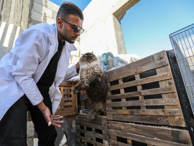 الجوع والنزوح المتكرر يُجبران أهالي غزة على إطلاق حيواناتهم الأليفة