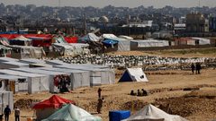 فتوح يدين قصف الاحتلال خيم النازحين والمستشفيات