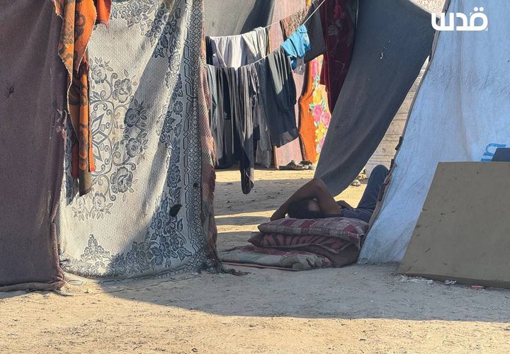 تواجد خجول للنازحين في مواصي رفح؛ بسبب قربها من مناطق توغل جيش الاحتلال في رفح