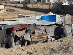 تواجد خجول للنازحين في مواصي رفح؛ بسبب قربها من مناطق توغل جيش الاحتلال في رفح