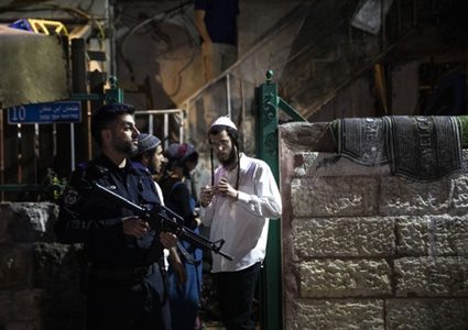 مستوطن يرعى أغنامه ويحطم أشجار زيتون في أراضي بتير غرب بيت لحم  بيت لحم