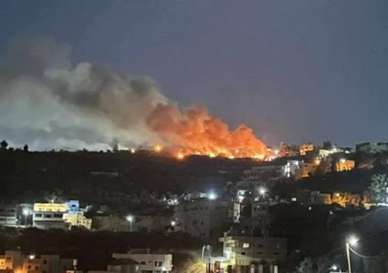 مقاومة الجدار والاستيطان: 273 حريقا أشعلها الجيش والمستعمرون بعد الـ7 من أكتوبر