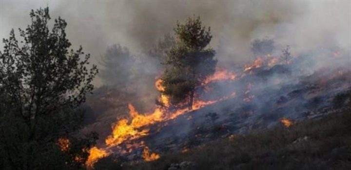 هيئة مقاومة الجدار: اكثر من ٢٠٠ حريق بفعل المستوطنين في الضفة