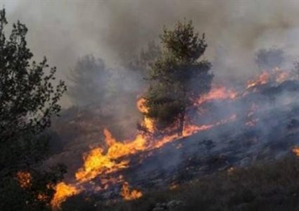 هيئة مقاومة الجدار: اكثر من ٢٠٠ حريق بفعل المستوطنين في الضفة