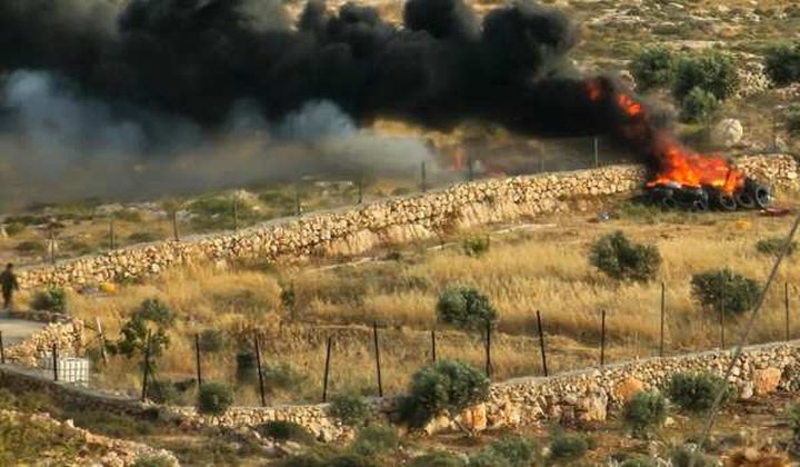 مستوطنون يسيجون طريقا ترابية ويضرمون النار في أراضي خربة يرزا في الأغوار
