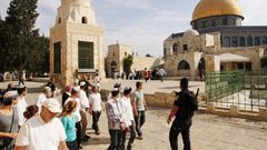 مستوطنون يقتحمون المسجد الأقصى