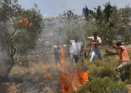 مستوطنون يضرمون النار بأراضي اللبن الشرقية جنوب نابلس