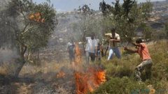 مستوطنون يضرمون النار بأراضي اللبن الشرقية جنوب نابلس