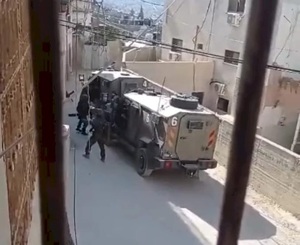 الاحتلال يعتقل مواطنا ويعتدي على مسن في مخيم عقبة جبر