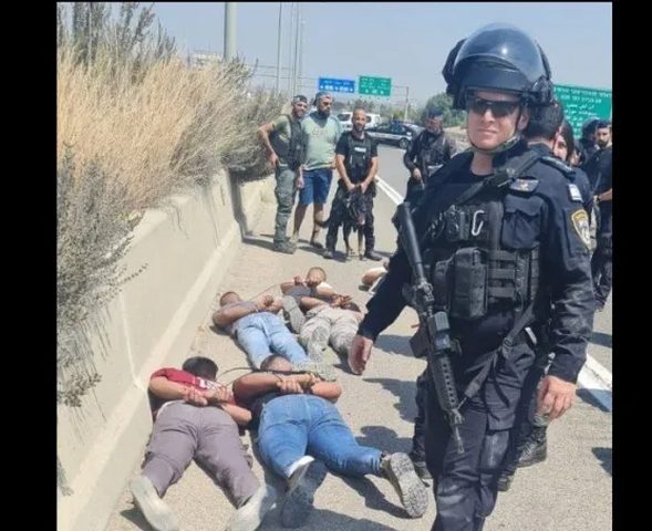 شرطة الاحتلال تعتقل 13 فلسطينيا قرب جلجولية