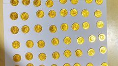 الشرطة تقبض على عاملة سرقت 100 ليرة ذهبية من داخل منزل في الخليل