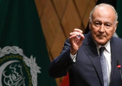 أبو الغيط: اتساع رقعة الاعتراف بالدولة الفلسطينية خطوة مهمة على طريق تجسيدها