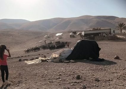 مستوطنون يهاجمون خيام مواطن في خربة الفارسية بالأغوار الشمالية