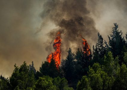 بعد اطلاق صواريخ من لبنان ..اشتعال نيران في حدائق بالجليل