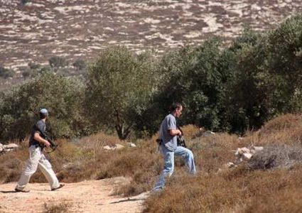 مستوطنون يعتدون على مزارع من الخضر جنوب بيت لحم