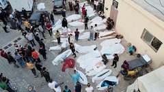 354 يوما للحرب: ثلاث مجازر متتالية ترفع حصيلة الشهداء إلى 41455 شهيدًا