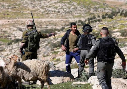 مستوطنون يهاجمون رعاة الماشية في خربة زنوتا ببلدة الظاهرية جنوب الخليل