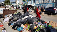 جراء الحرب على غزة .. تأثيرات بيئية غير مسبوقة تنذر بمخاطر جمة