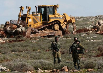 الاحتلال يجرف 10 دونمات من الأشجار المثمرة في بيت أمر