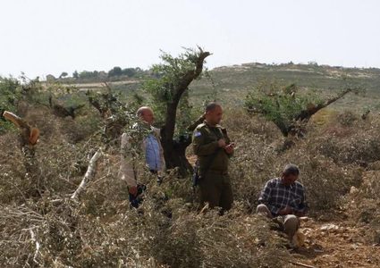 مستوطنون يهاجمون منزلا ويقطعون أشجار زيتون جنوب شرق بيت لحم