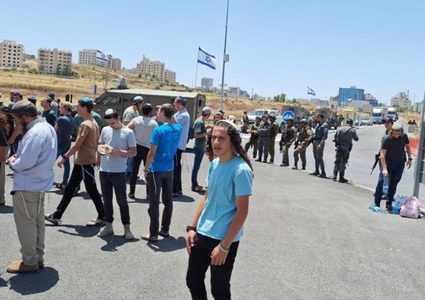 مستعمرون يكسرون أشجار زيتون في ياسوف