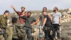 الاحتلال يعتدي على المزارعين ويمنع وصولهم إلى أراضيهم غرب دورا