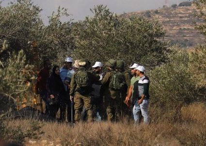 الاحتلال يطرد قاطفي الزيتون من أراضيهم