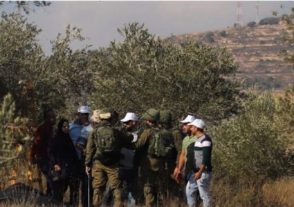 الاحتلال يجبر قاطفي الزيتون على مغادرة حقولهم في بيت فوريك