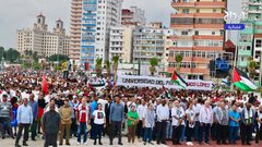 هافانا تنتفض من أجل فلسطين .. مظاهرة حاشدة بقيادة الرئيس الكوبي